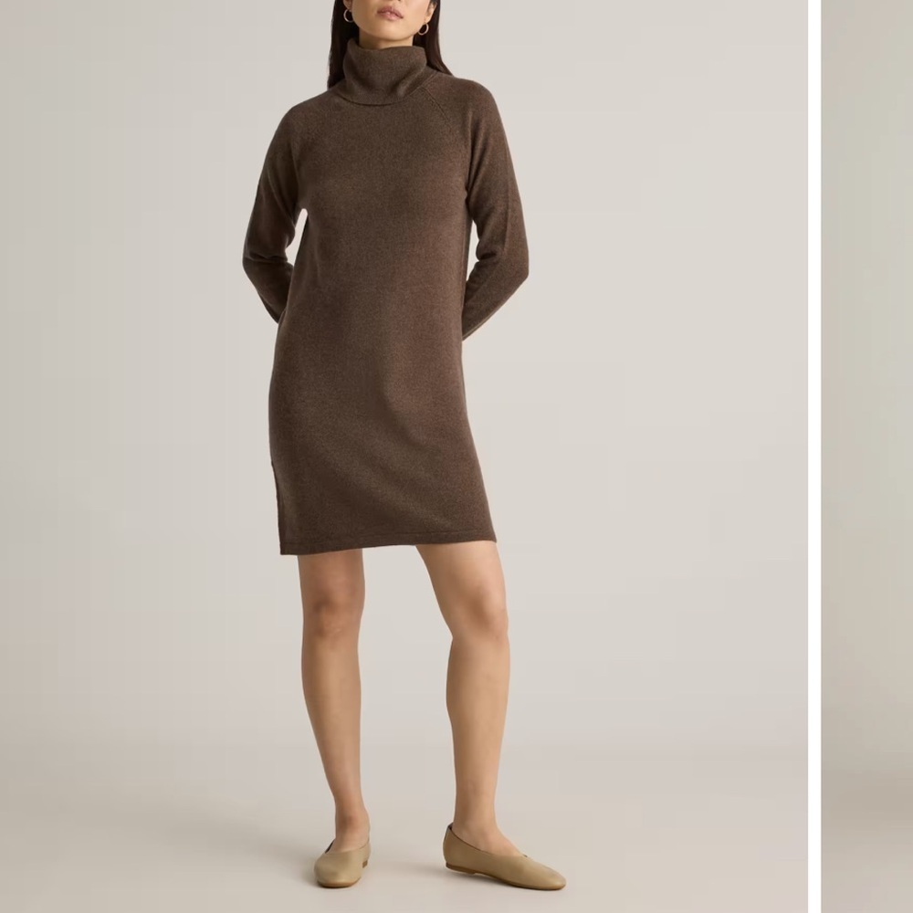 Quince Brown Turtleneck Mini Dress